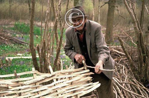 Hurdle Maker  Dorset 1 DMO316